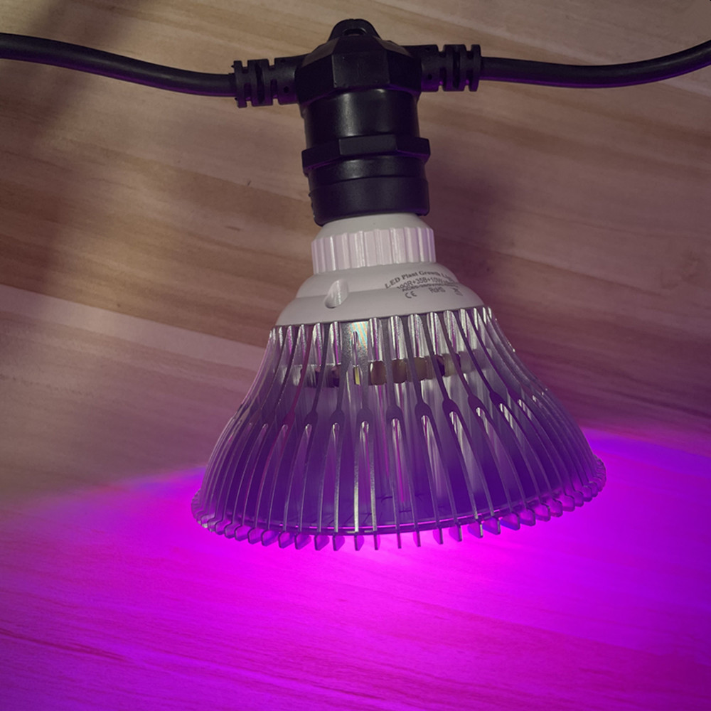 10 メートルケーブル LED ストリング商用グレード防水  - Outdoor Lighting Nearby のレビューと価格